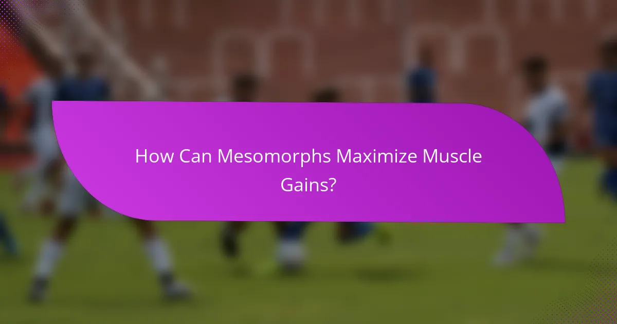 How Can Mesomorphs Maximize Muscle Gains?